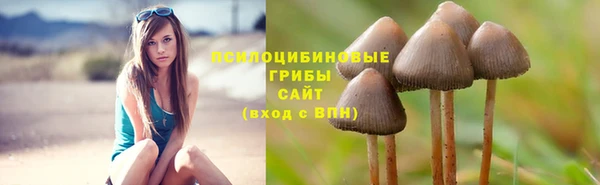 MDMA Бородино
