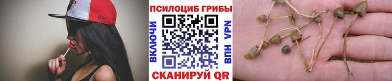 Псилоцибиновые грибы мицелий  Малаховка 